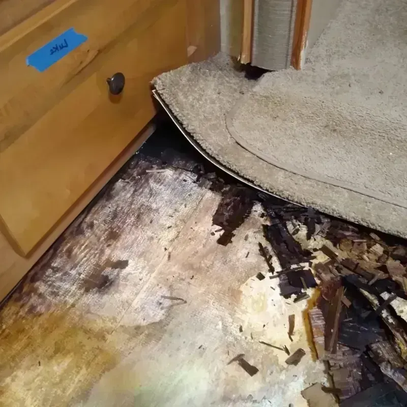 Wood Floor Water Damage in Rochelle, IL